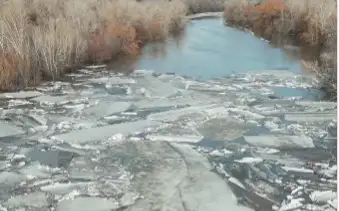 Из-за ледяного затора на реке Чаган затопило дачи в ЗКО