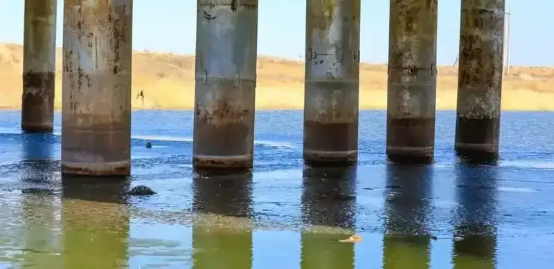 sý