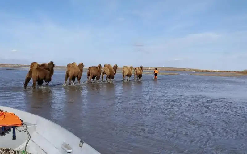 Фото: ТЖД баспасөз қызметі