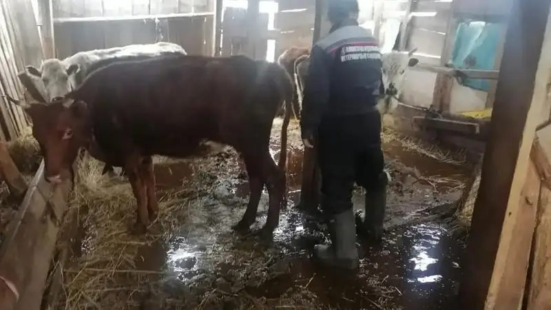 agriculture