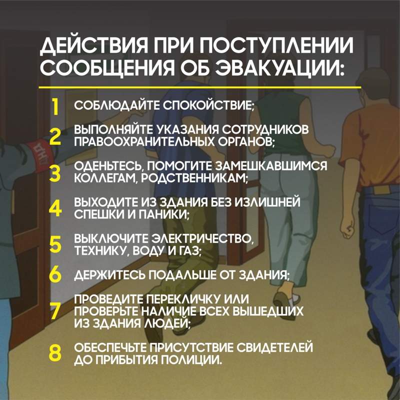 Инфографика Инфографика
