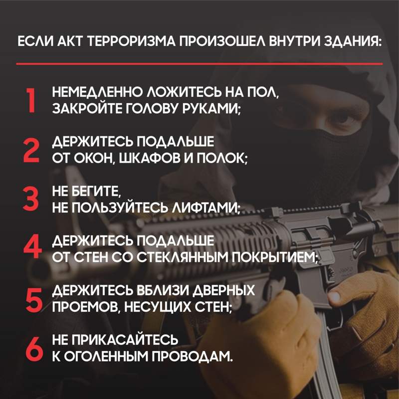 Инфографика Инфографика