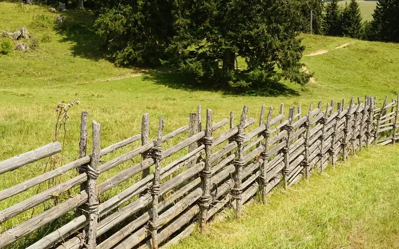 земля для выпаса