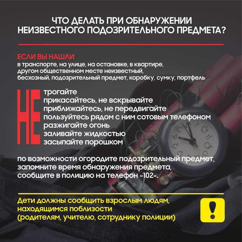 Инфографика Инфографика