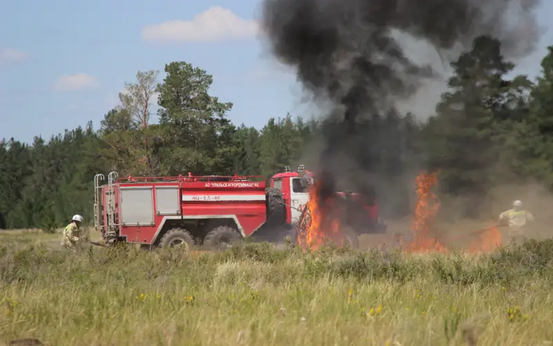 лесные пожары 