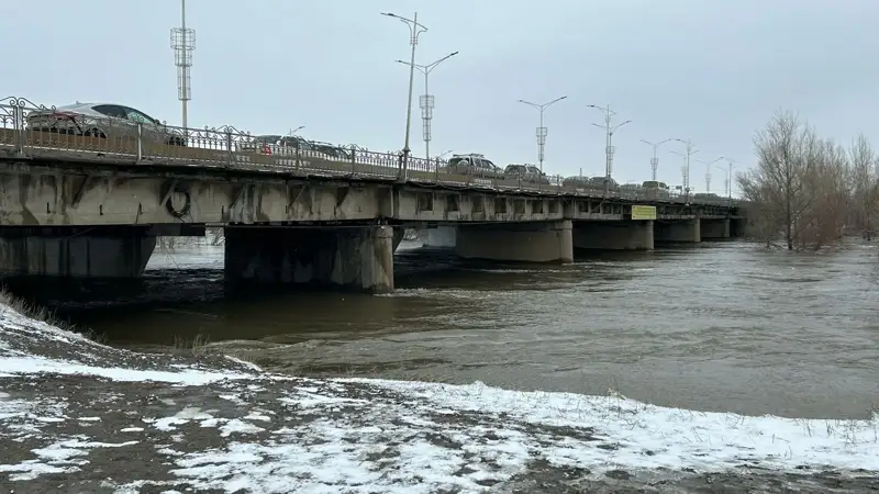 sý tasqyny