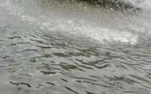 река, вода
