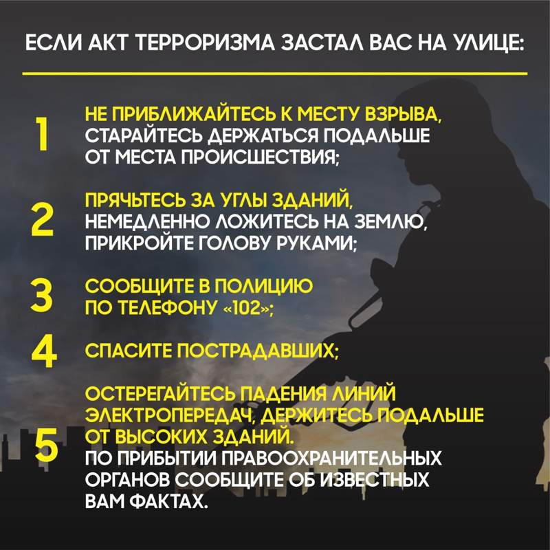 Инфографика Инфографика