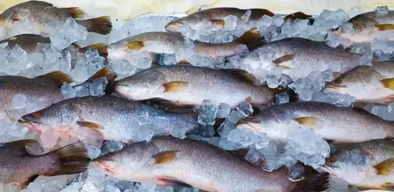 Покровителей браконьеров выявили в Атырауской области