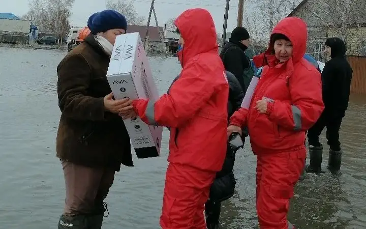 volonter
