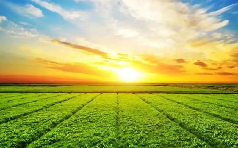 Прокурорлық талдау