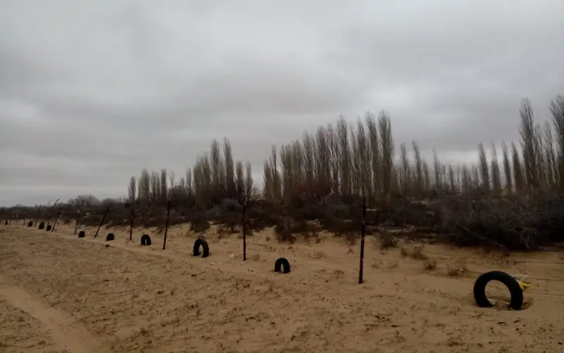 Толық және жалаңаш қыздардың суреттері