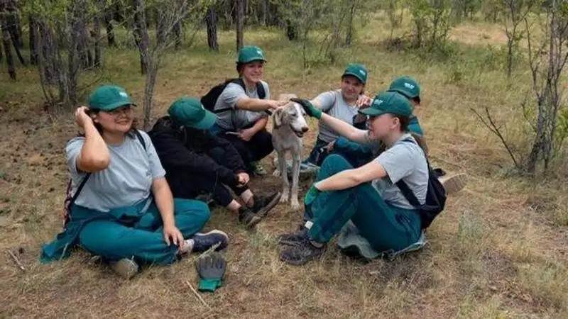 МТО «Жасыл ел»