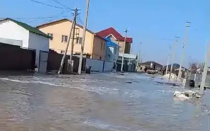 Sý kire bastady
