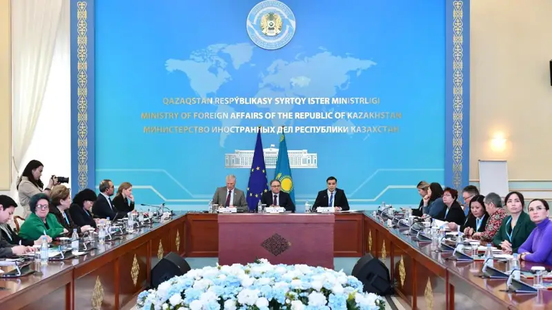 Level of violence against women is still high, a serious obstacle to gender equality, Kazakh Ombudsman