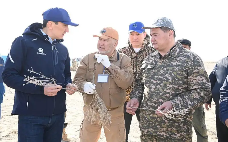 сексеуіл егу