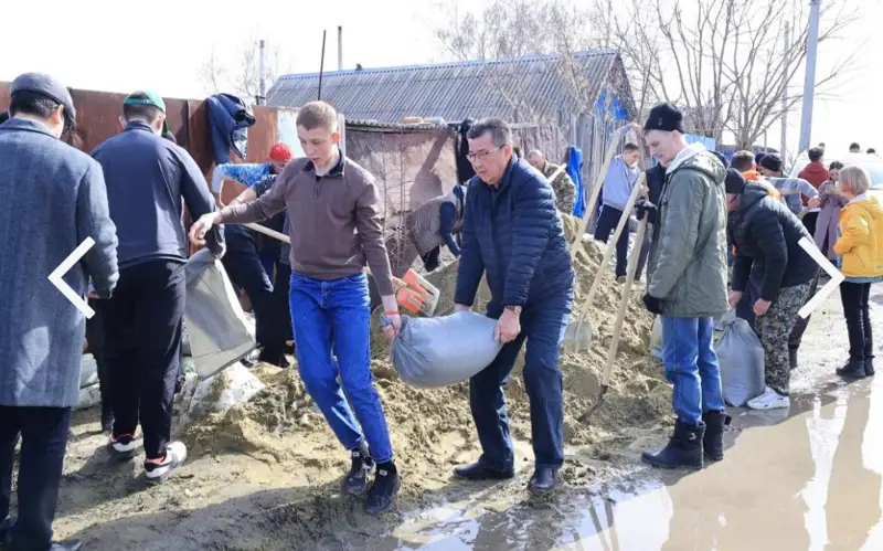 Волонтеры помогают укреплять прибрежные территории, которые могут затопить в Костанае 