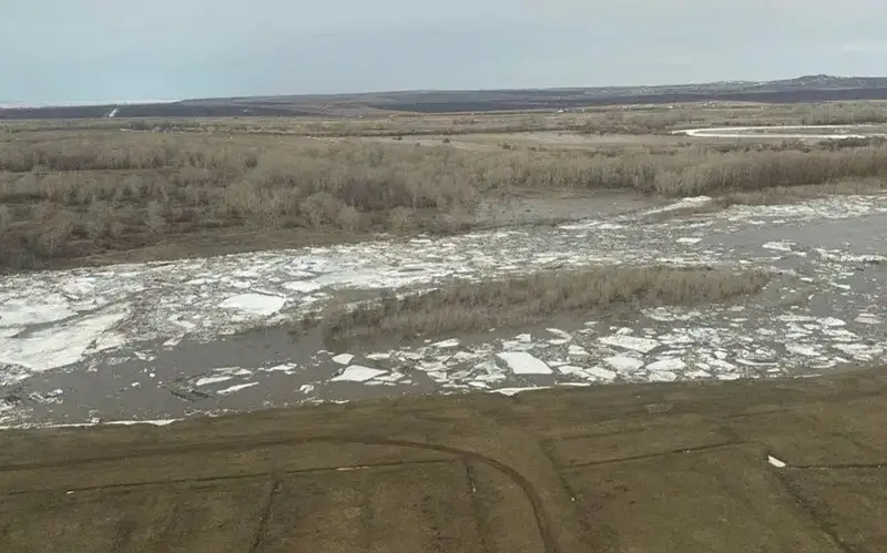 65% of E Kazakhstan still covered with snow