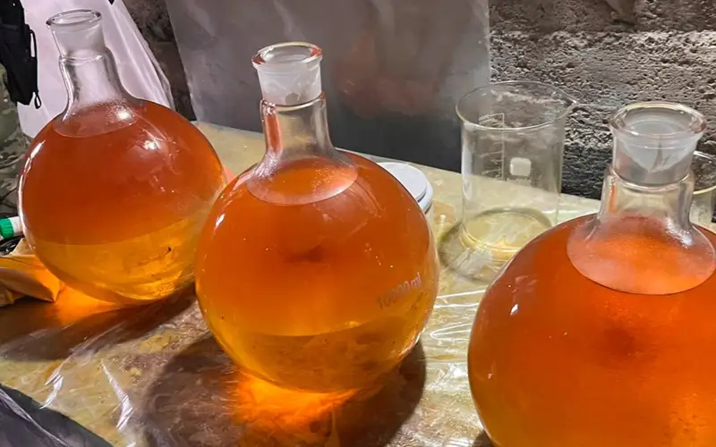 Двое иностранцев организовали нарколабораторию в Алматинской области