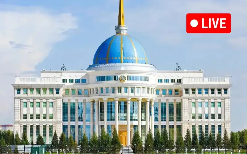 Прямая трансляция