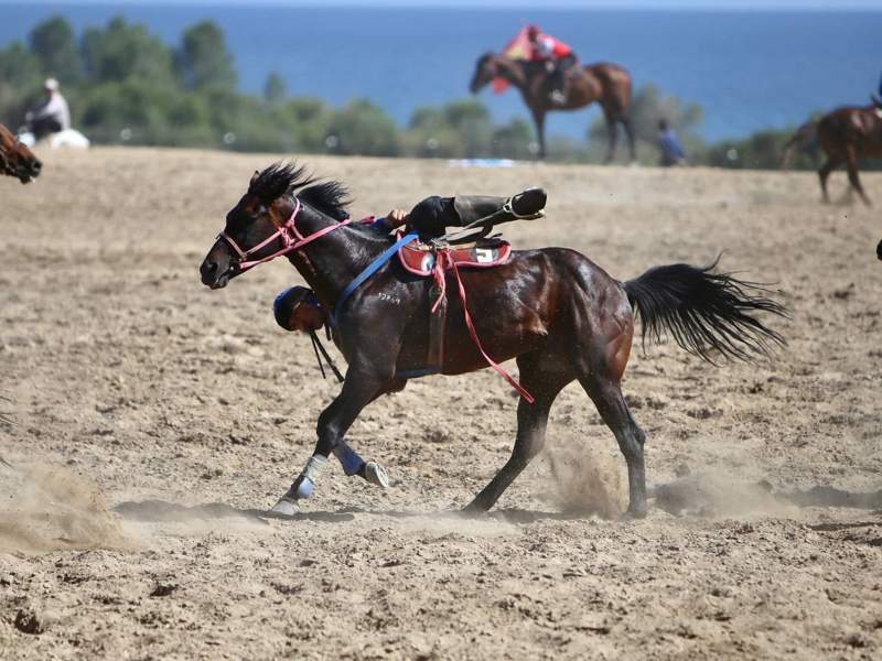 Национальные виды спорта