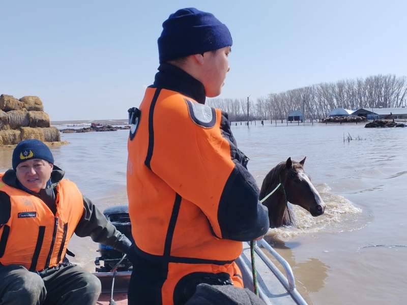 эвакуация эвакуация