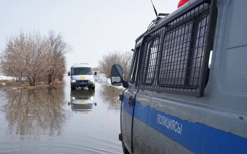 қаупсіздік