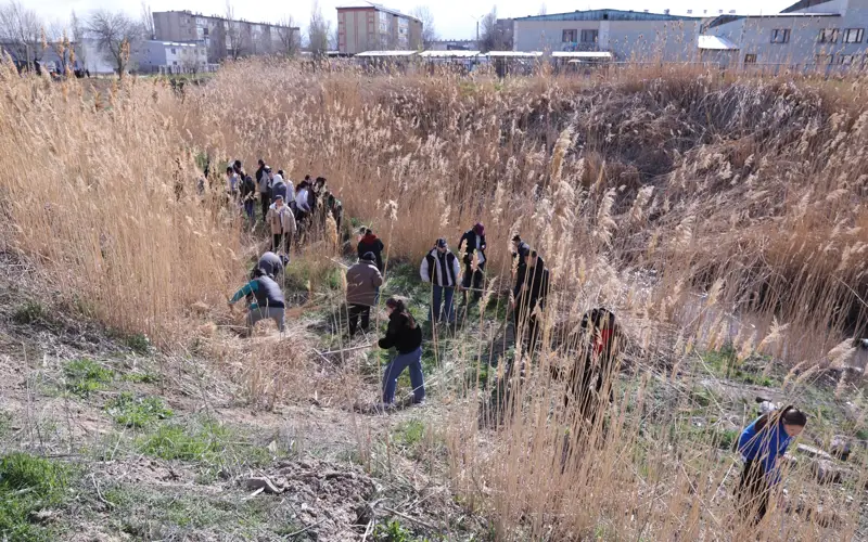 Арыки и каналы очищают в Таразе для предотвращения паводков