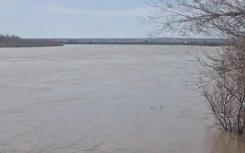 Россия: Орскдаги Елшанка дарёси тошиб кетди