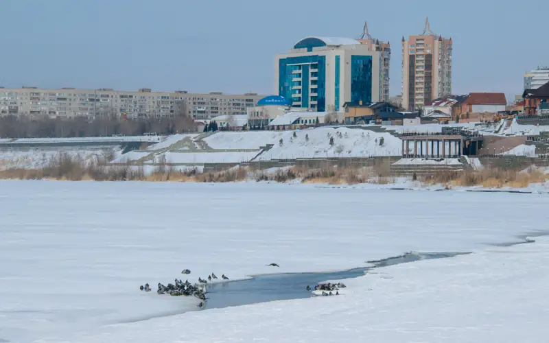 Иртыш, Павлодар