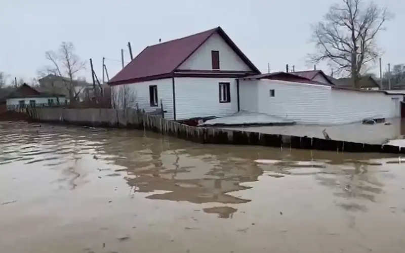sý basty