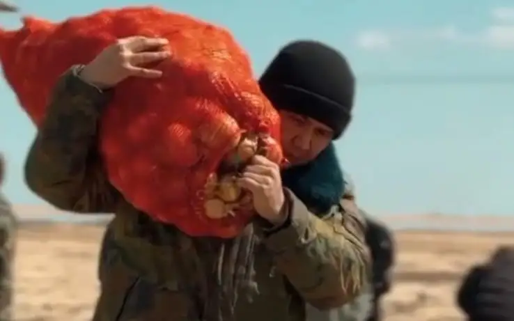 гуманитарная помощь