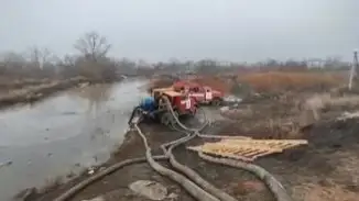 Sý tasqyny