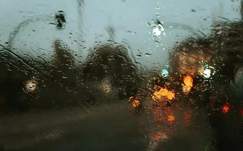 Rains