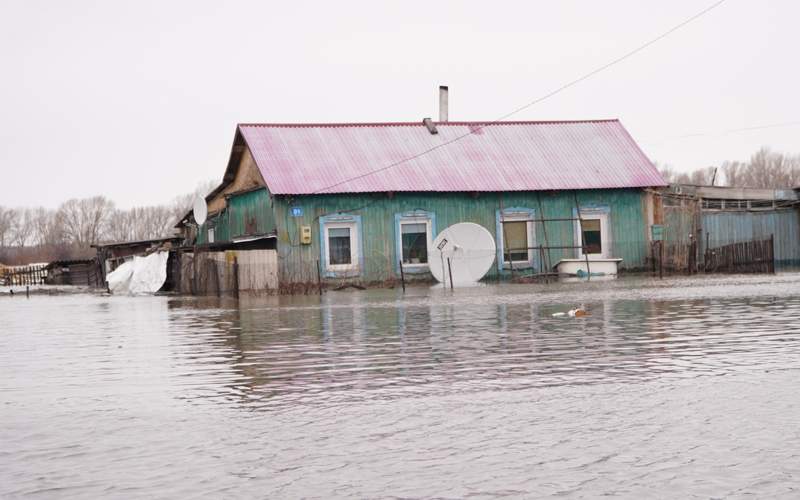 паводки