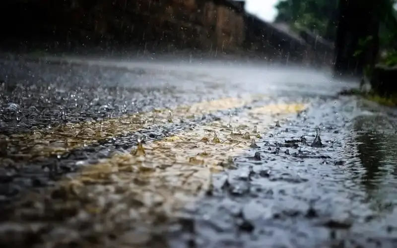 Rain