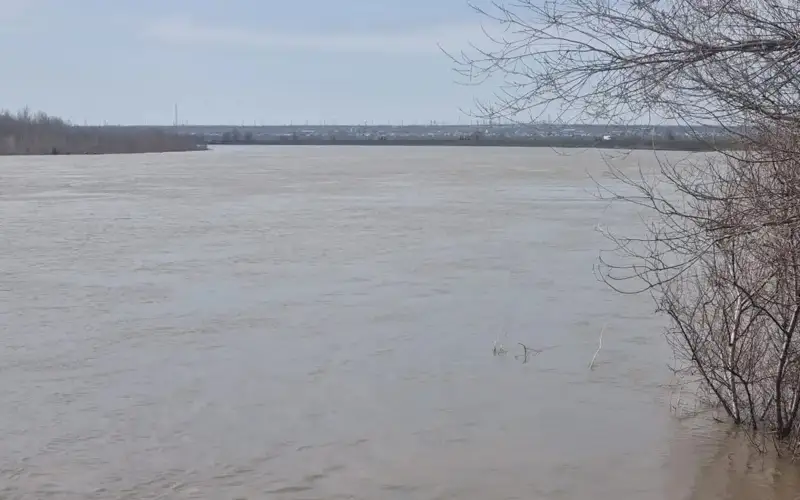 Синоптиктер