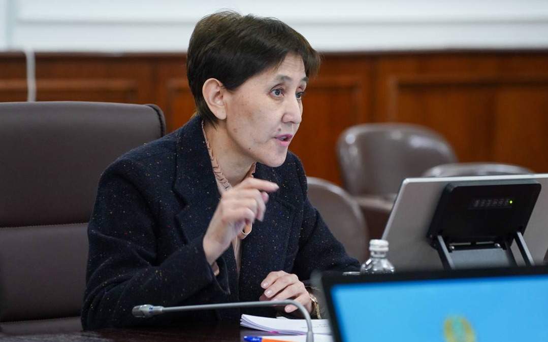 Су тасыған өңірлерде екі айлық дәрі-дәрмек қоры жасалады – Тамара Дүйсенова