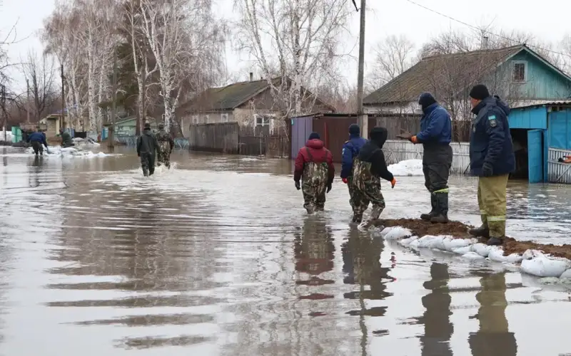 Фото: Мәжіліс