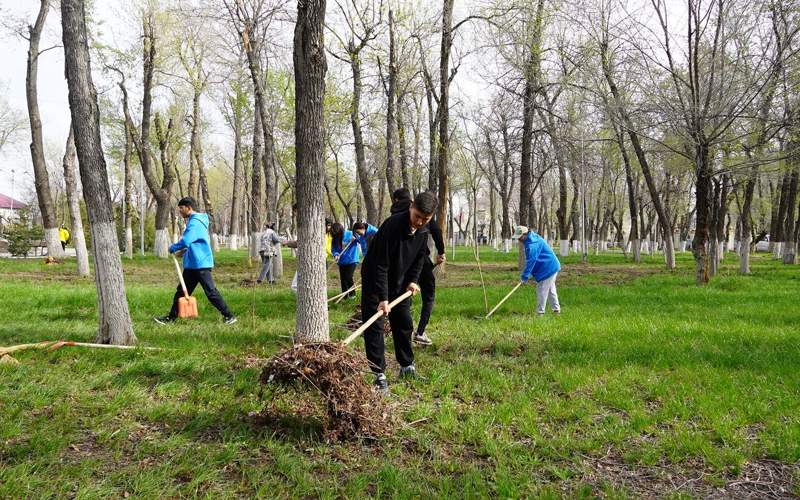 экологическая акция