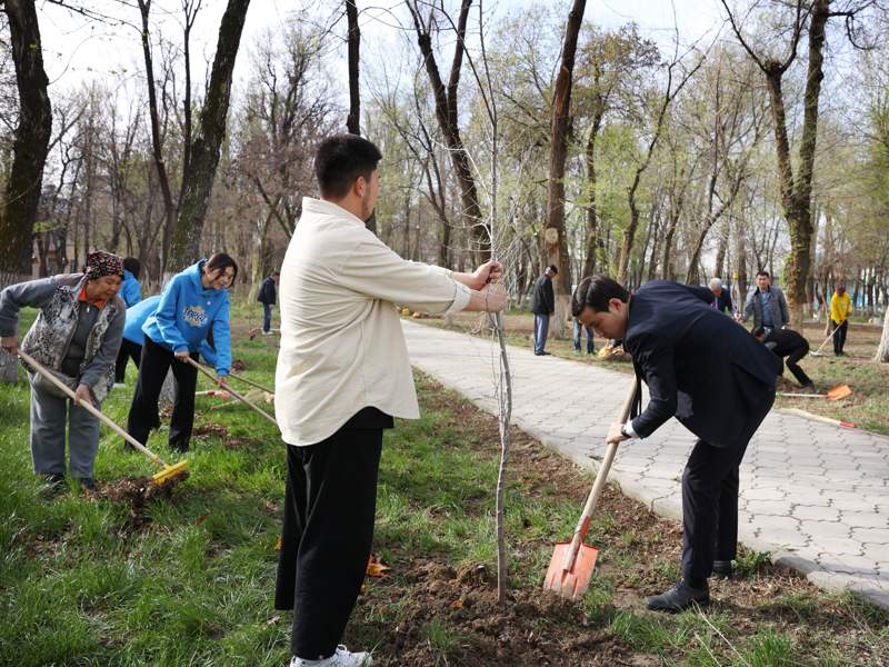 экологическая акция