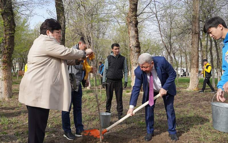 экологическая акция