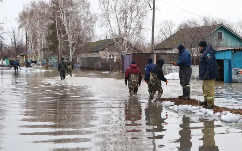 Депутаты возьмут на контроль выплаты пострадавшим от паводков