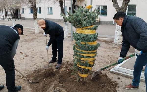 В Карагандинской области наводят чистоту во дворах и на улицах В Карагандинской области наводят чистоту во дворах и на улицах