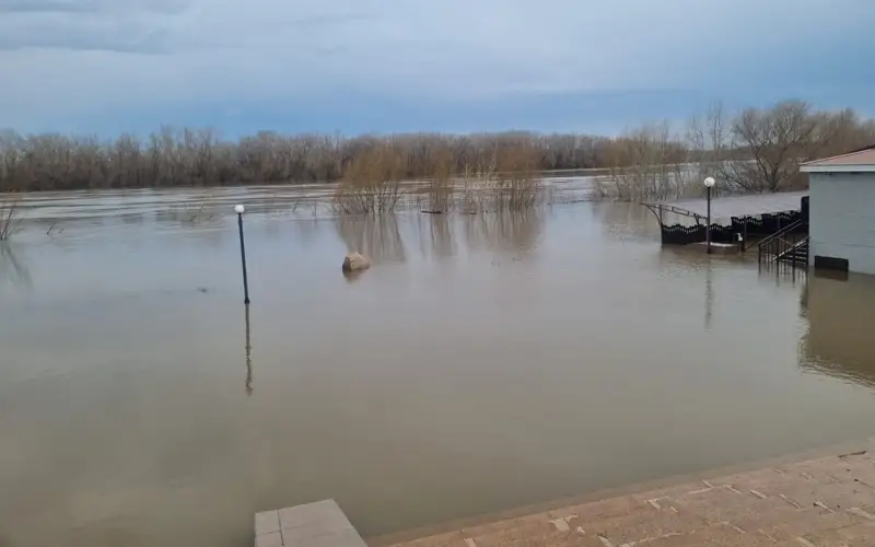 Ózen