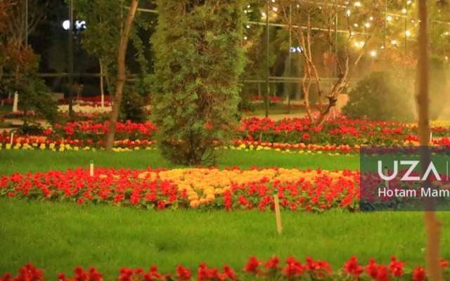 Uzbekistan to host 63rd International Flower Festival