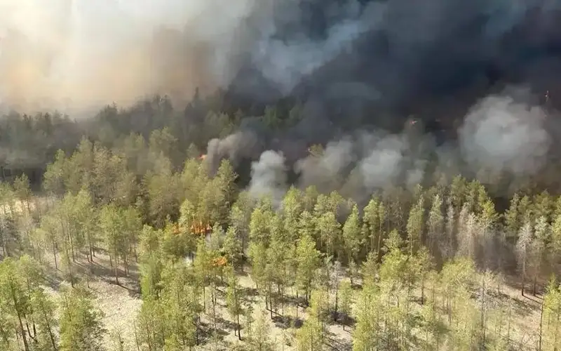 Система раннего обнаружения лесных пожаров