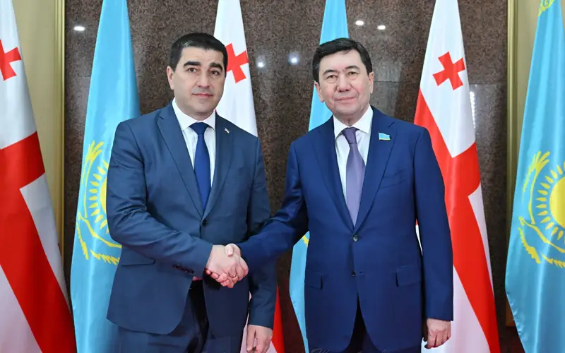 Депутаты Казахстана и Грузии усилят обмен опытом в законотворчестве
