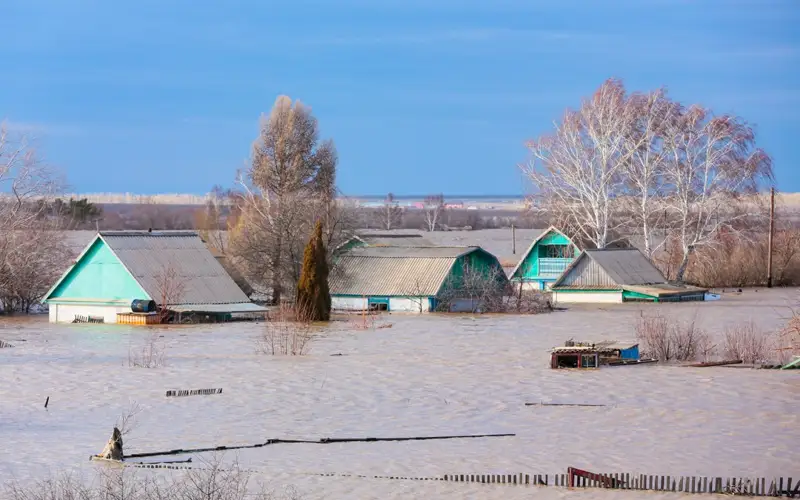 sý tasqyny
