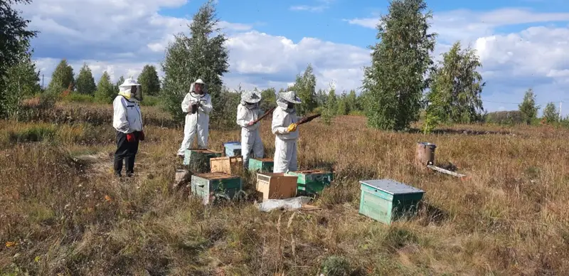 Пчеловоды, пасека, мед